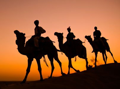 South India Tour with Rajasthan