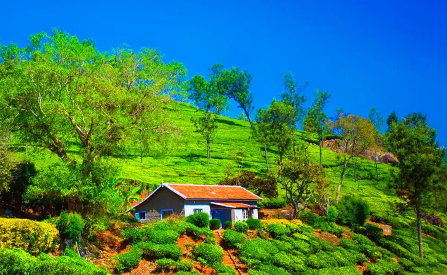 Ooty Tourism | Places to Visit in Ooty & Toy Train Tours