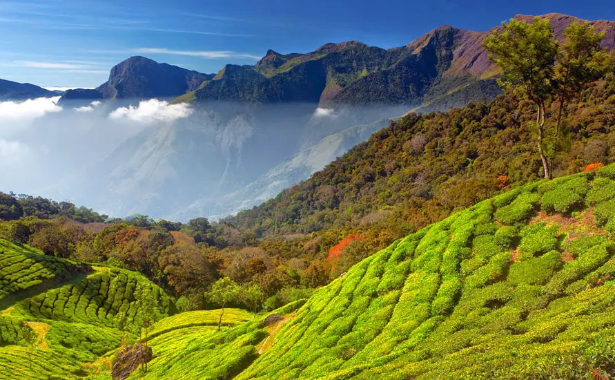 Coorg Tourism | Places to Visit in Coorg & Private Tours