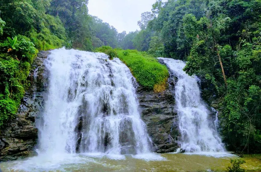 abbey falls cascading waterfall and forest