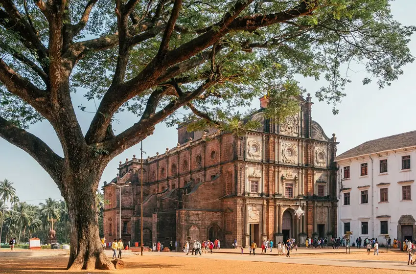 basilica of bom jesus goa facade and tree