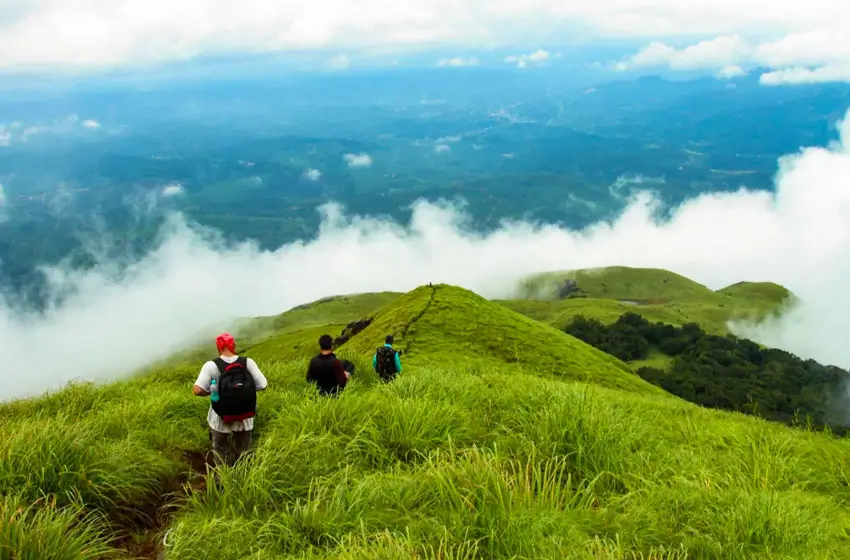 chembra peak wayanad trekking trail clouds
