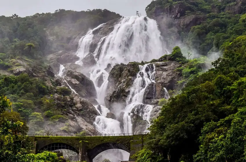 dudhsagar waterfalls railway bridge and jungle