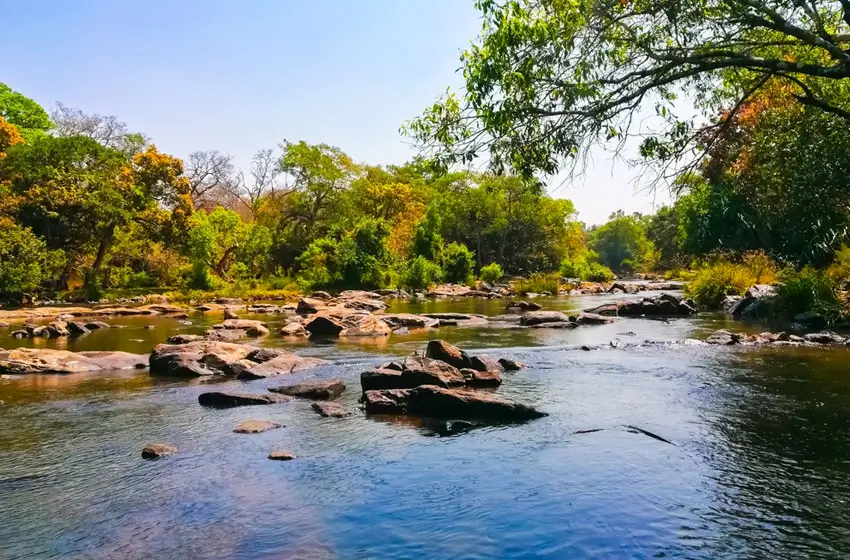 kabini river rocky stream forest scenery