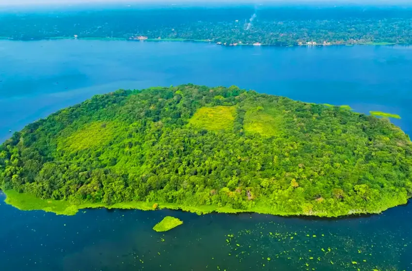 lush green Pathiramanal Island view