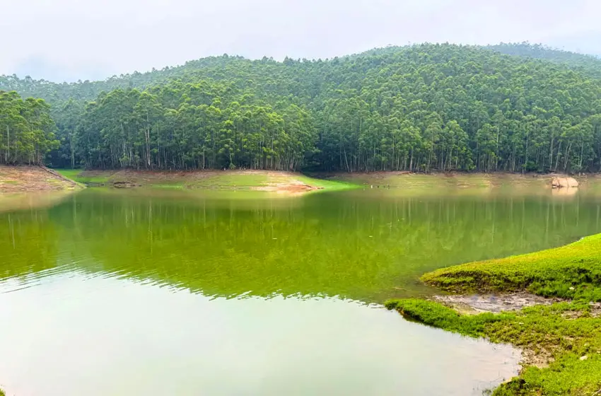 Mattupetty dam reservoir and tree lined banks