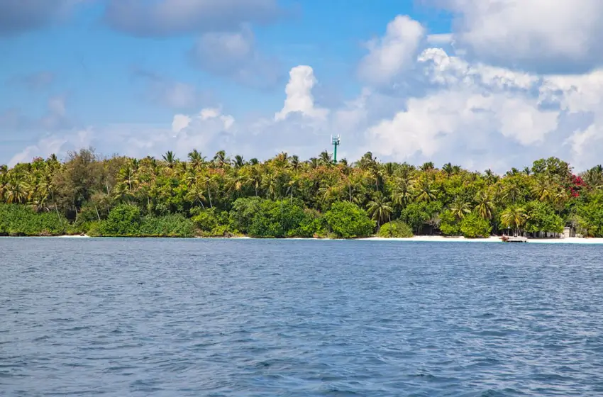 munroe island backwaters and palm trees view