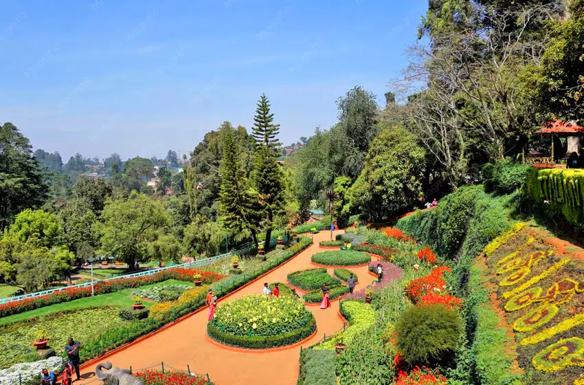 ooty botanical garden terraced lawns and flowers