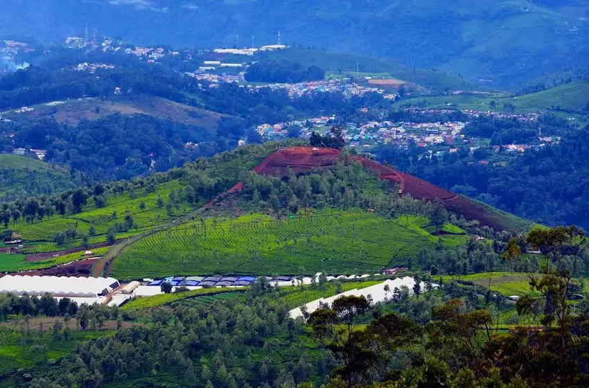 ooty nilgiri hills tea plantations and valleys