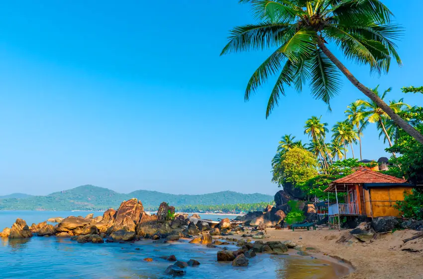 palolem beach goa rocks and palm trees