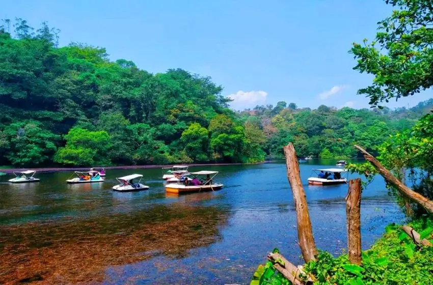 pookode lake wayanad paddle boating scenery