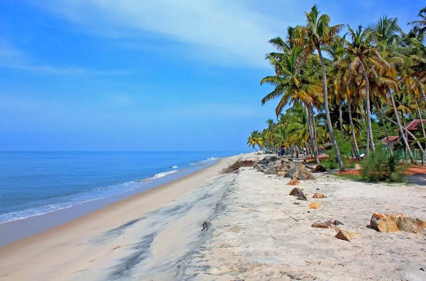Pristine tropical beach coastline with palms