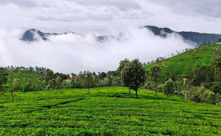 Ooty Sojourn