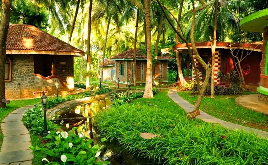 Relaxing Kerala Ayurvedic Tour