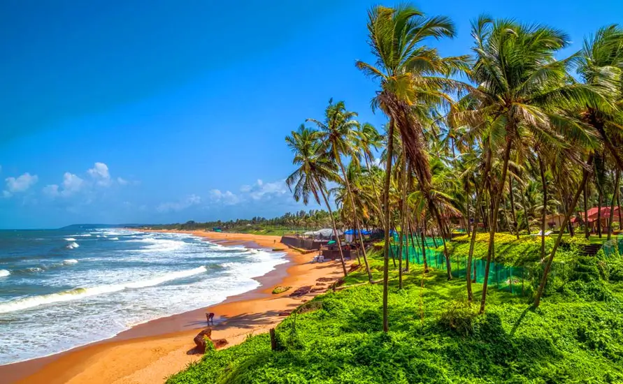 The soulful Luxury Backwater Cruise