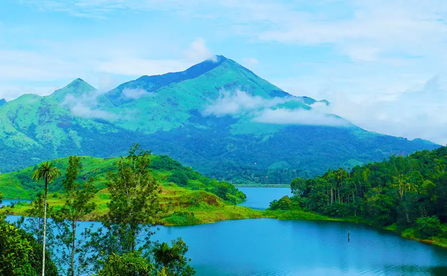Wayanad Tour Packages