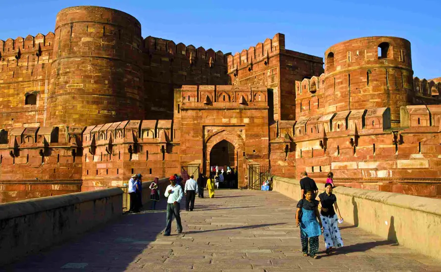 Untamed Southern India