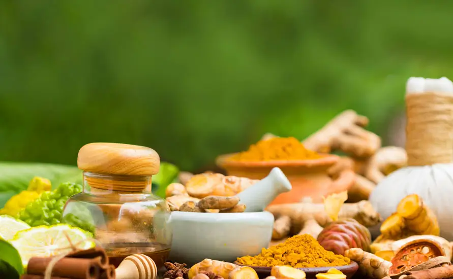 Rejuvenating South India tour with Ayurveda