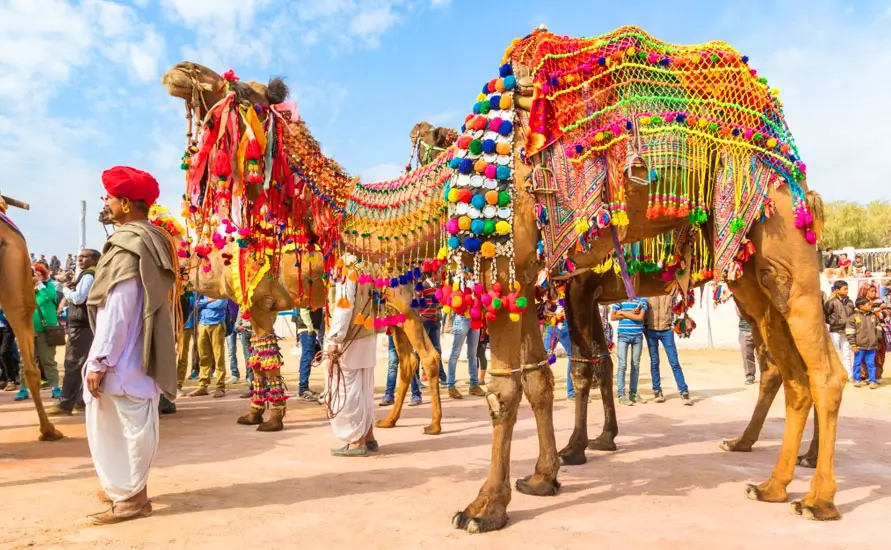 Rajasthan Cultural Tour with South India