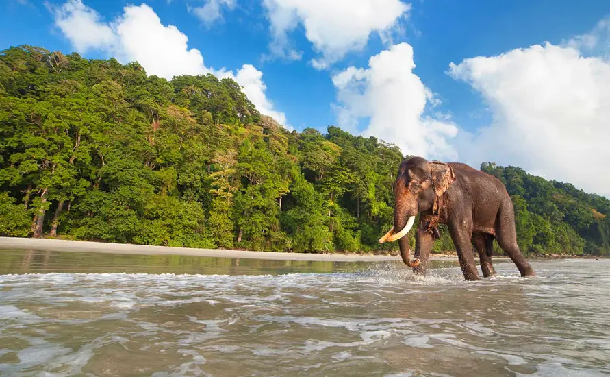 Exotic Kerala Voyage