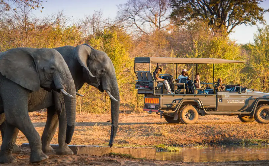 Southern India Wildlife Tour