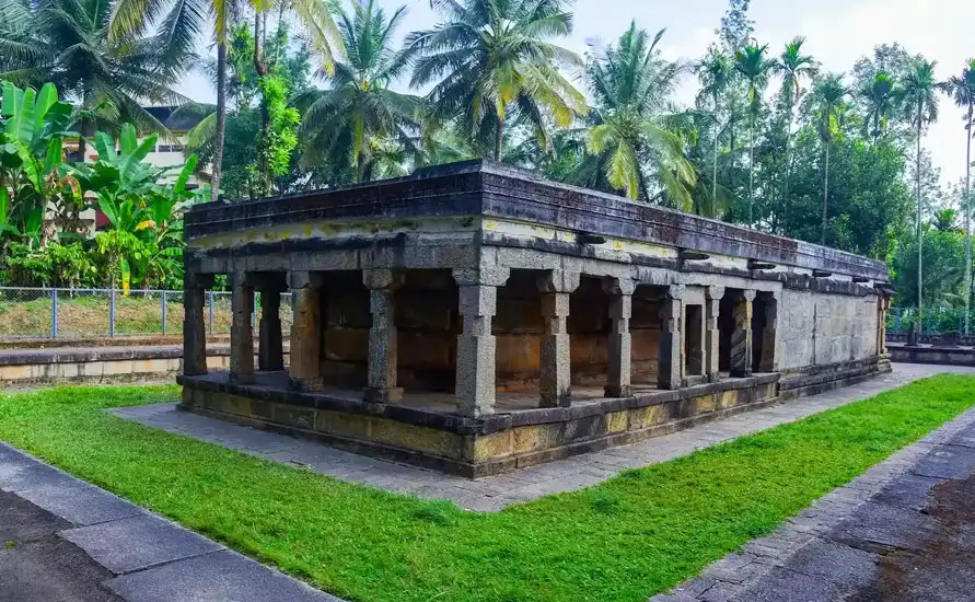 Wayanad Expedition