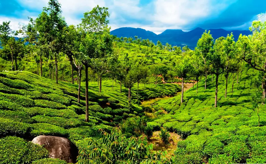 Royal Rajasthan with Splendid South India Tour