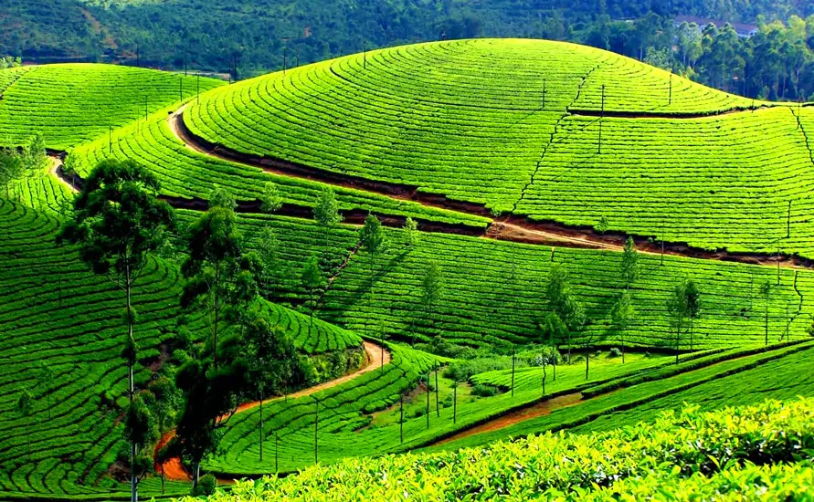 Golden Triangle Tour with Kerala