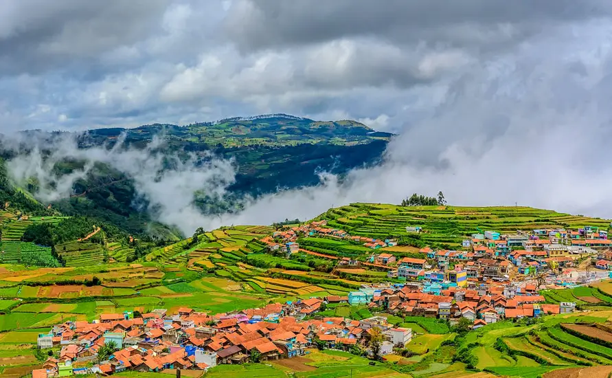 Golden Triangle Tour with South India