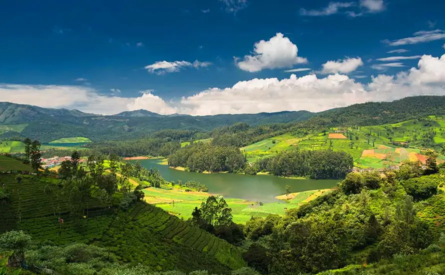 Dream Holidays in South India