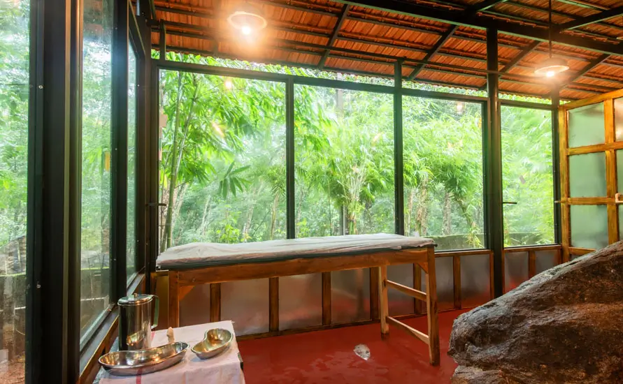 Ayurvedic Treatment for Short Duration