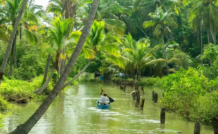 Wayanad Tour Packages