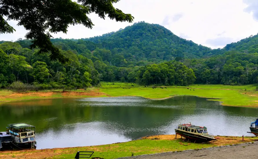 Treasures of Kerala