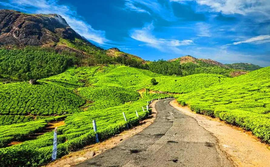 Rejuvenating South India tour with Ayurveda